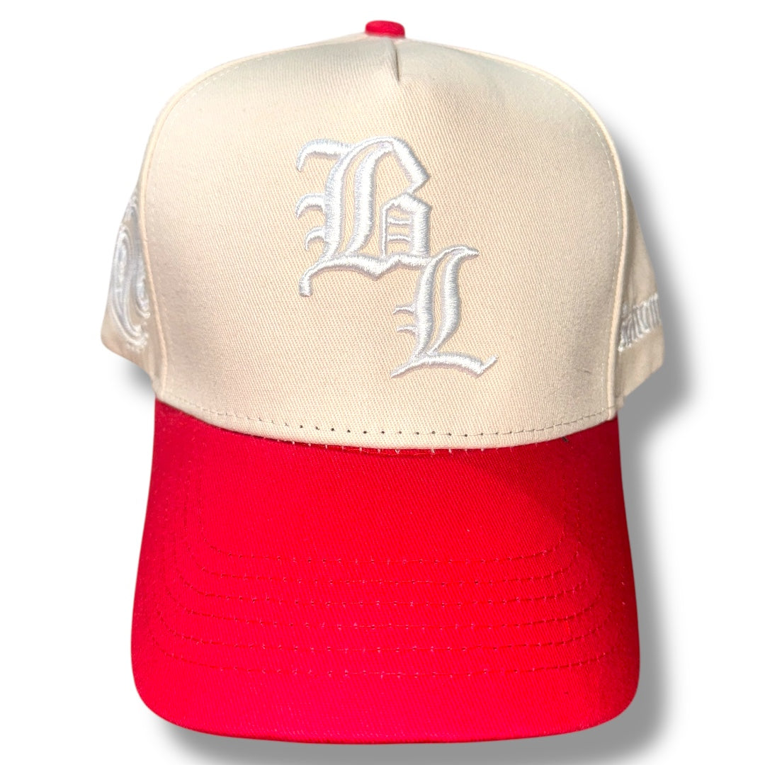 PAISLEY HAT V2