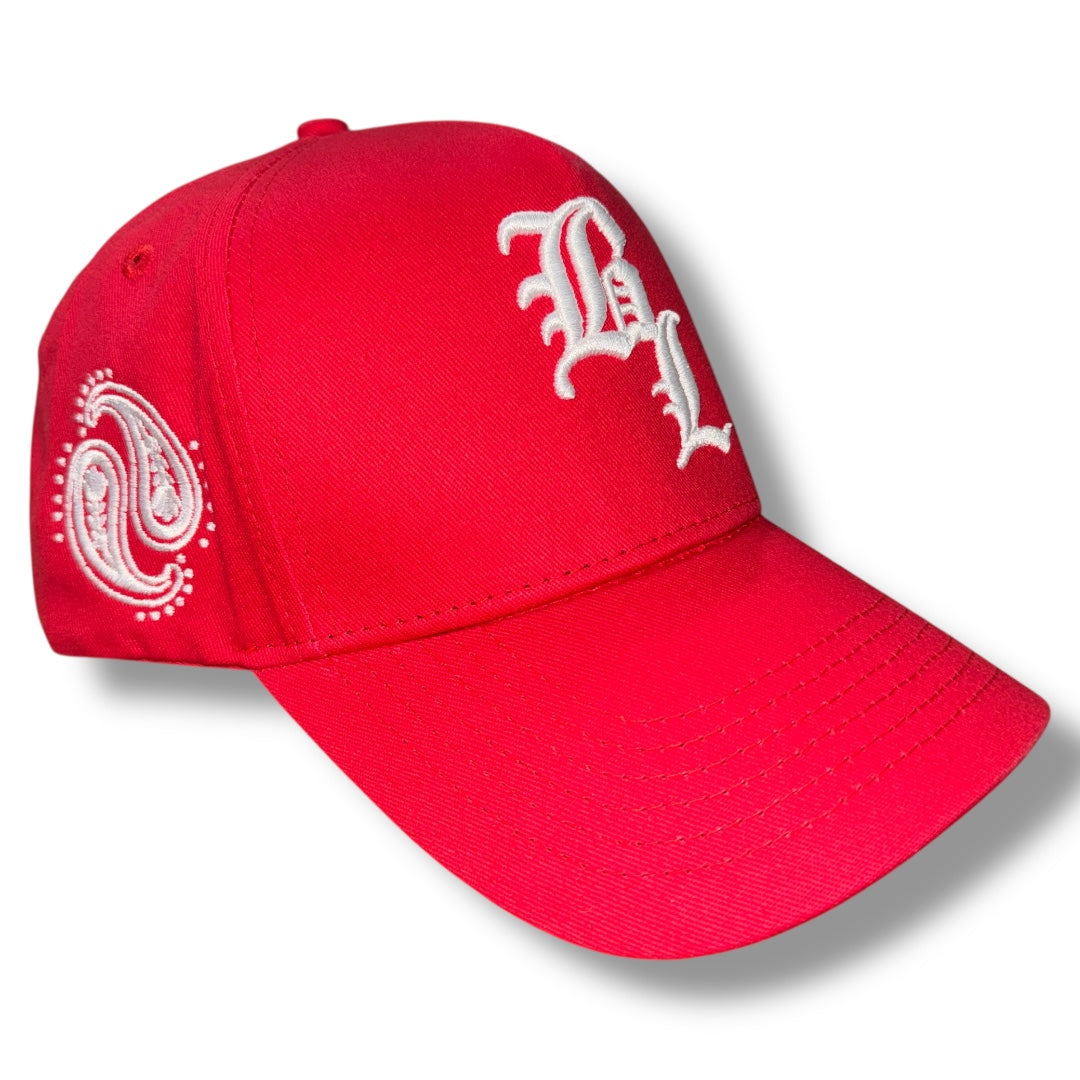 PAISLEY HAT V2