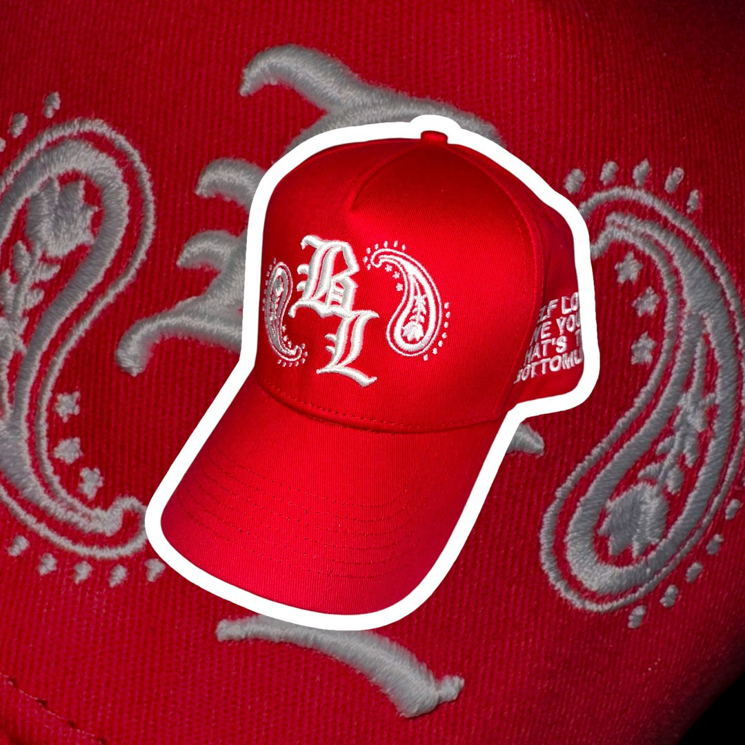 PAISLEY HAT V1
