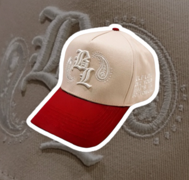 PAISLEY HAT V1