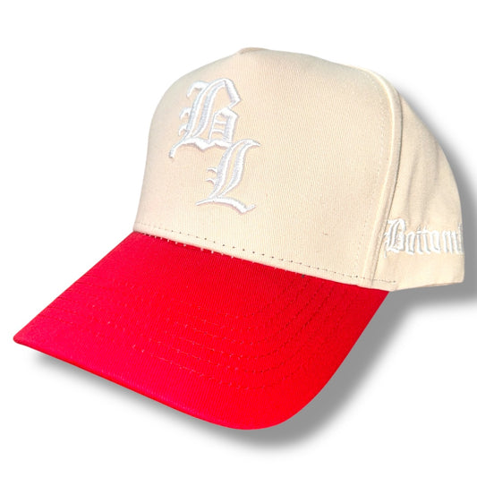 PAISLEY HAT V2